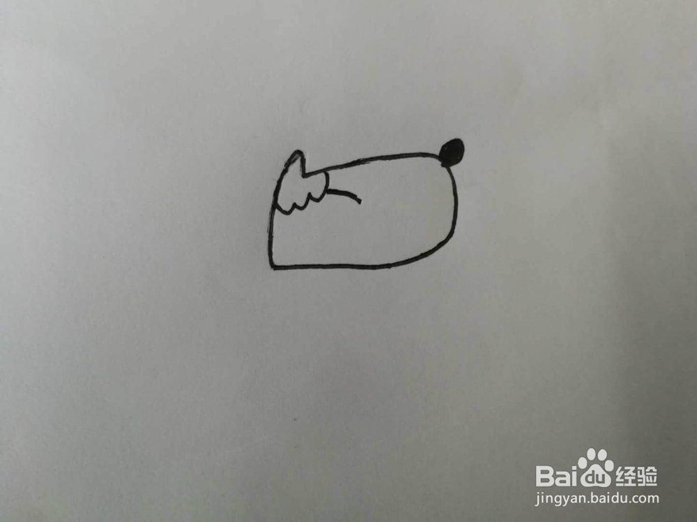 简笔画得意的小狗