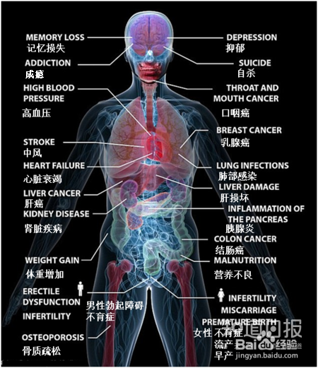 少喝点酒真的对身体有好处吗