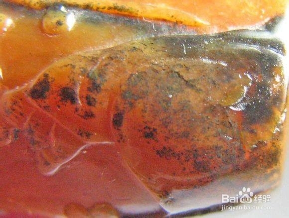 怎样辨识荔枝品种