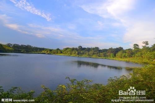 辟谷导师对一些工作问题的看法