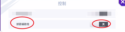最佳球会如何开启球路辅助线