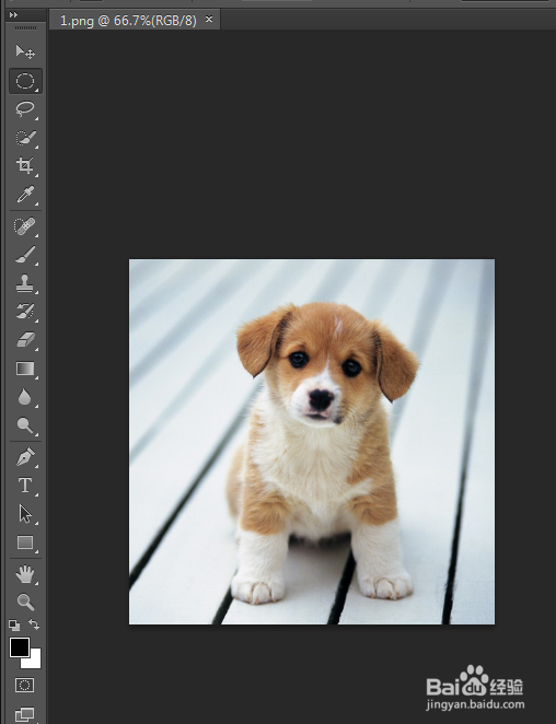 怎么用Photoshop更改图片的形状