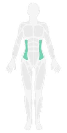 左侧屈膝侧支撑_核心功能入门