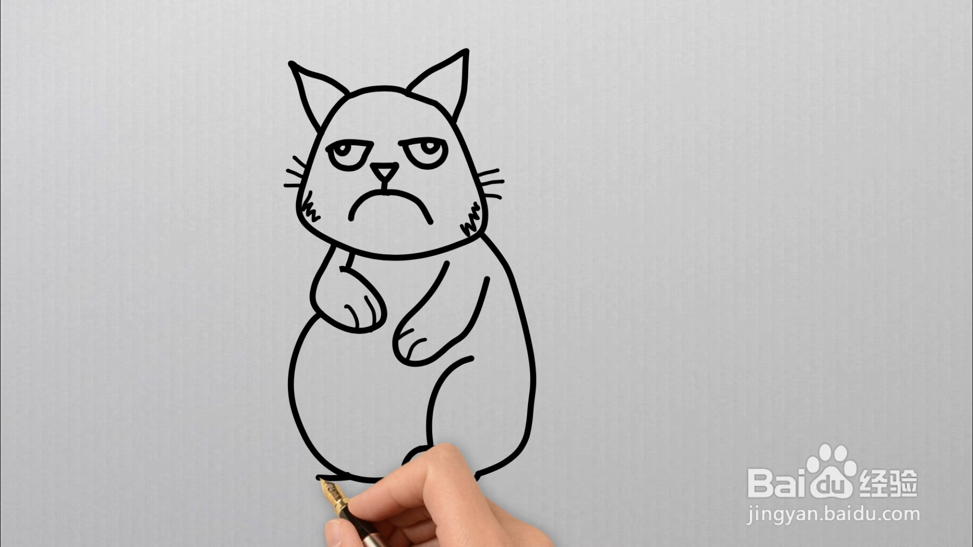 猫应该怎么画