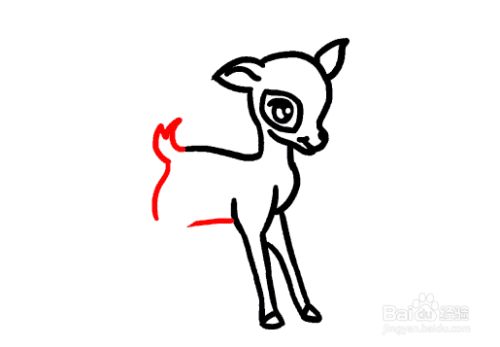 接下来画腹部和上翘的短尾巴,留出画后腿的位置.