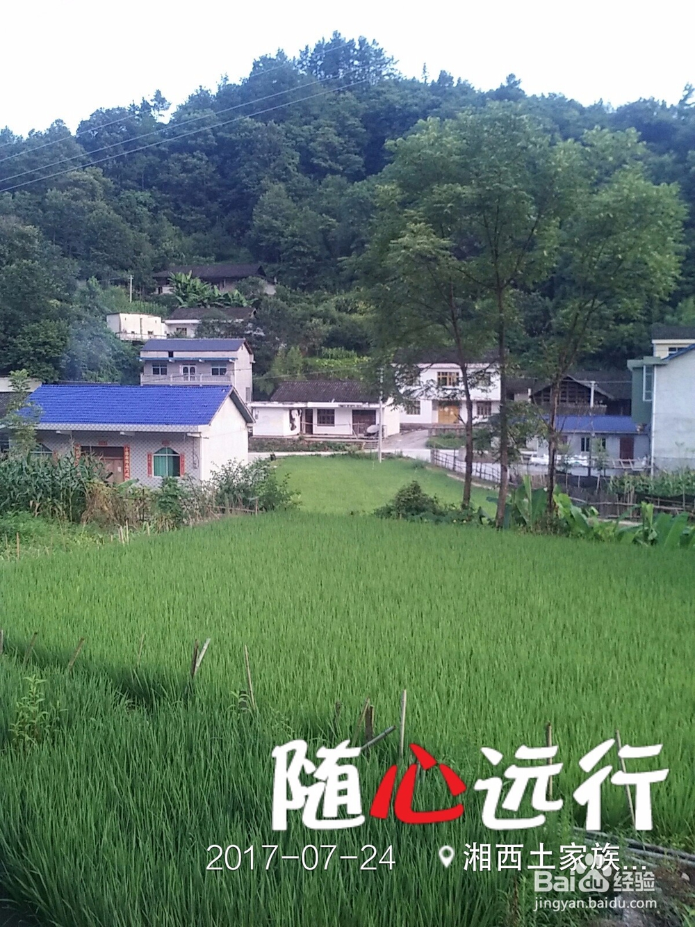 精准扶贫农家欢喜村民快乐记实