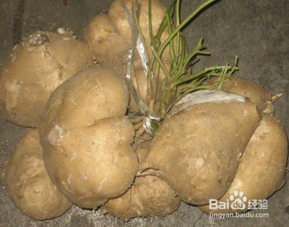 直肠炎饮食要注意什么