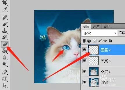 用PS制作动态猫咪表情包