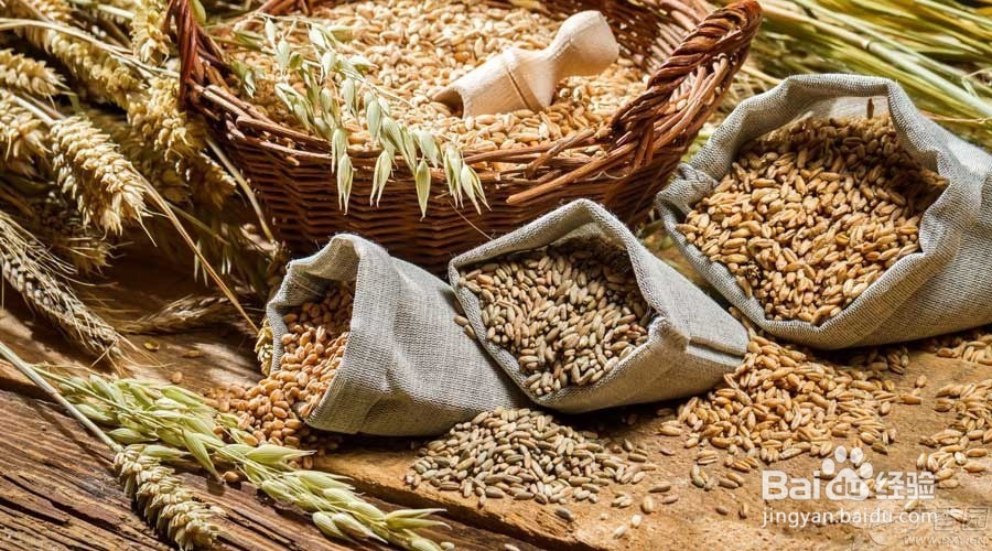 谷物饮料离代餐饮料有多远?