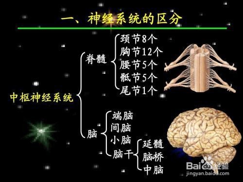 北京辰星中医李慧英大夫养髓复痿汤治疗脊髓损伤