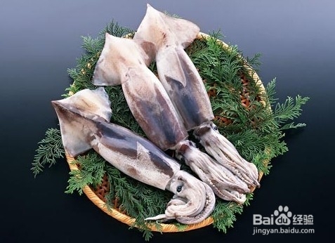 乌贼鱼有哪些营养价值？
