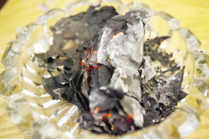 如何辨别本色纸,森林天使来教你