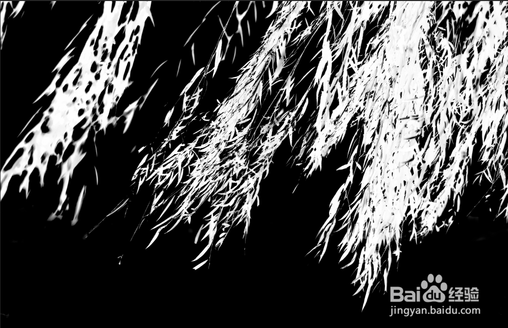 PS通道抠图杂乱的树叶