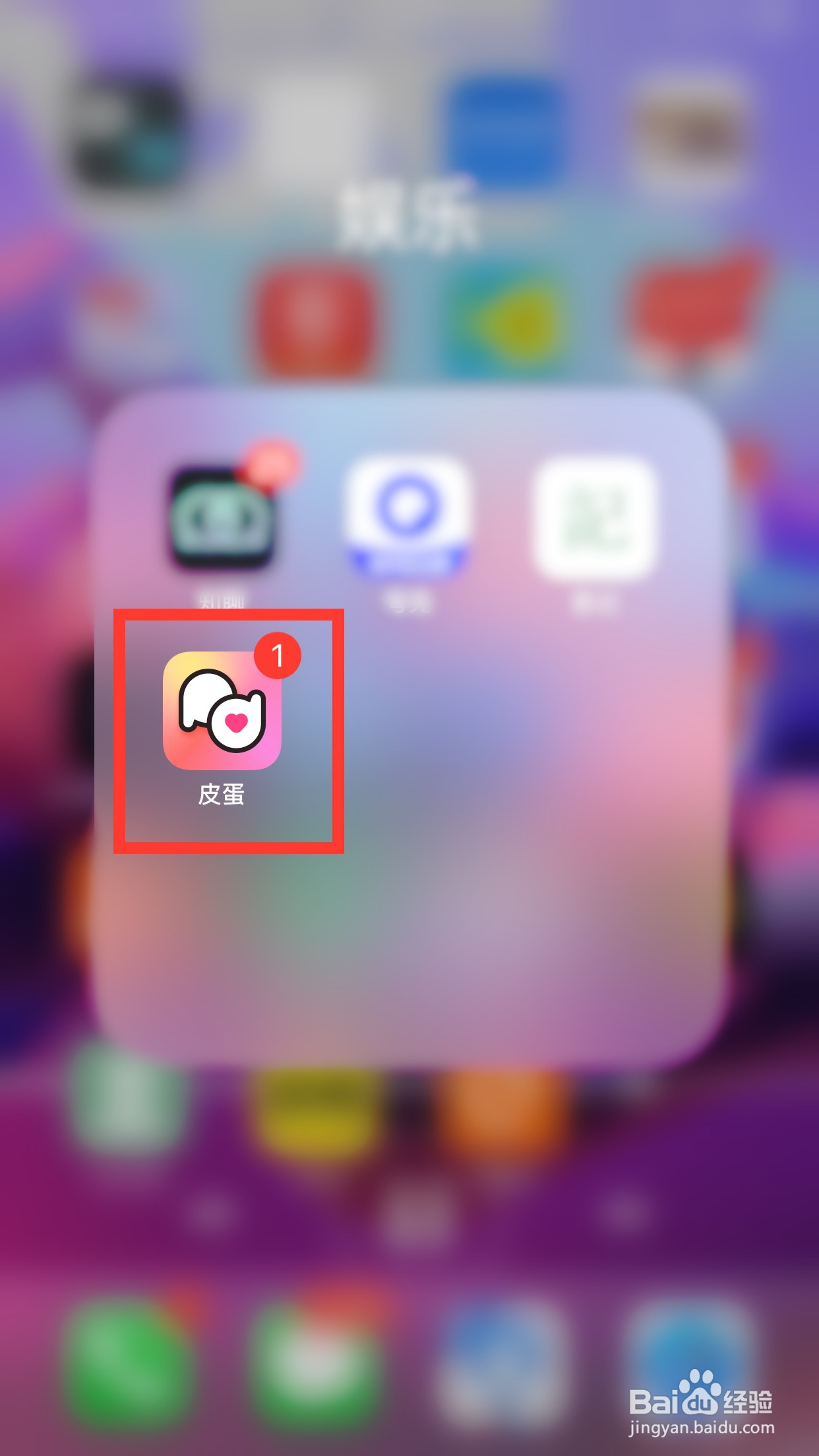 皮蛋软件如何查看等级信息