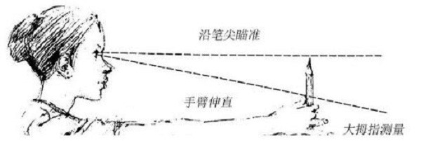 初学者学画素描时怎么量比例