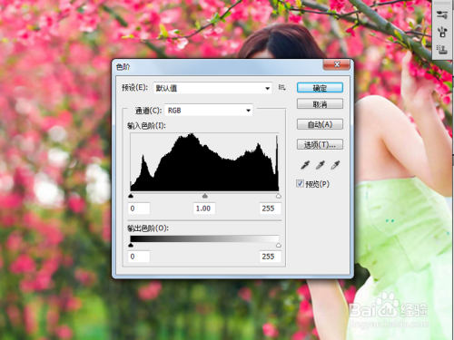 ps修图-水墨画的制作