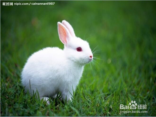 怎样把图片转换成更小的容量？