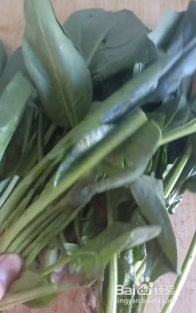宝宝早餐好吃的营养菠菜小饼的做法