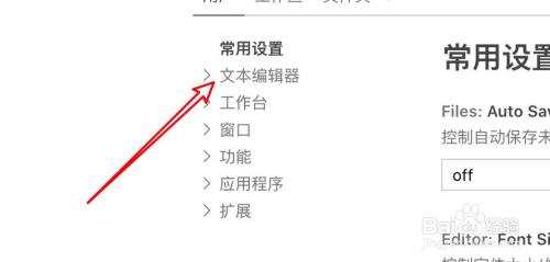mac vscode怎么设置在编辑器中启动小灯泡提示？