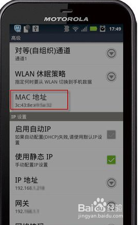 手机mac地址查询