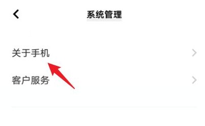 vivoS12手机在哪里查看生产商信息