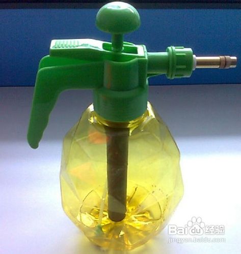 怎样用薄荷自制空气清新剂