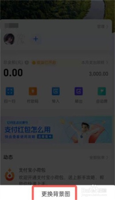 支付宝小荷包如何更换背景
