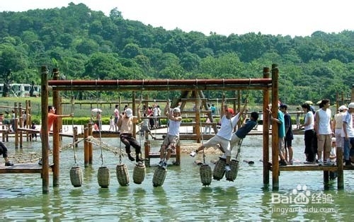 如何在野外竞技场里表现出色