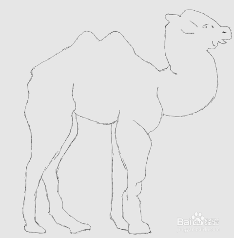 简笔画骆驼是怎么画的