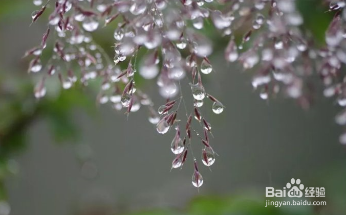 寒露时节需要注意的养生小知识