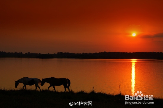 【夕阳摄影技巧】如何拍摄夕阳