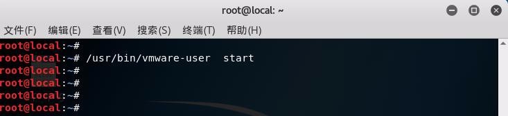 Kali 2018.2 VMware tools安装