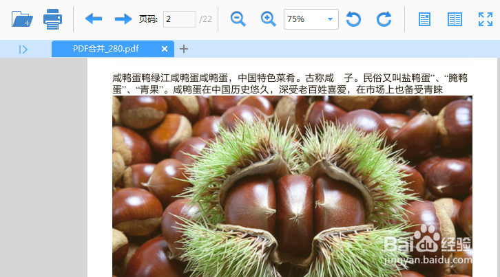 怎样将加密pdf文件快速打开阅读?