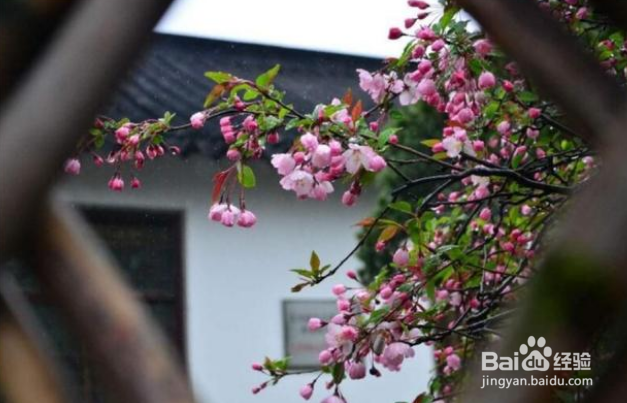 快速提升手机摄影水平的构图方法有哪些？