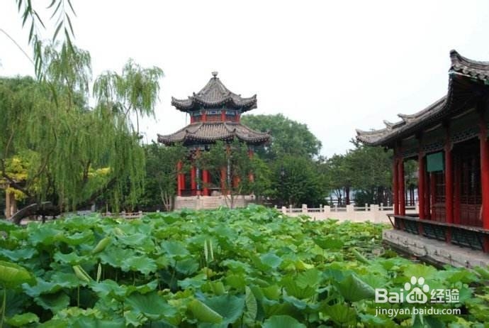 泉城济南一日游