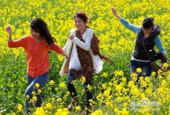 清明节有哪些传统风俗？