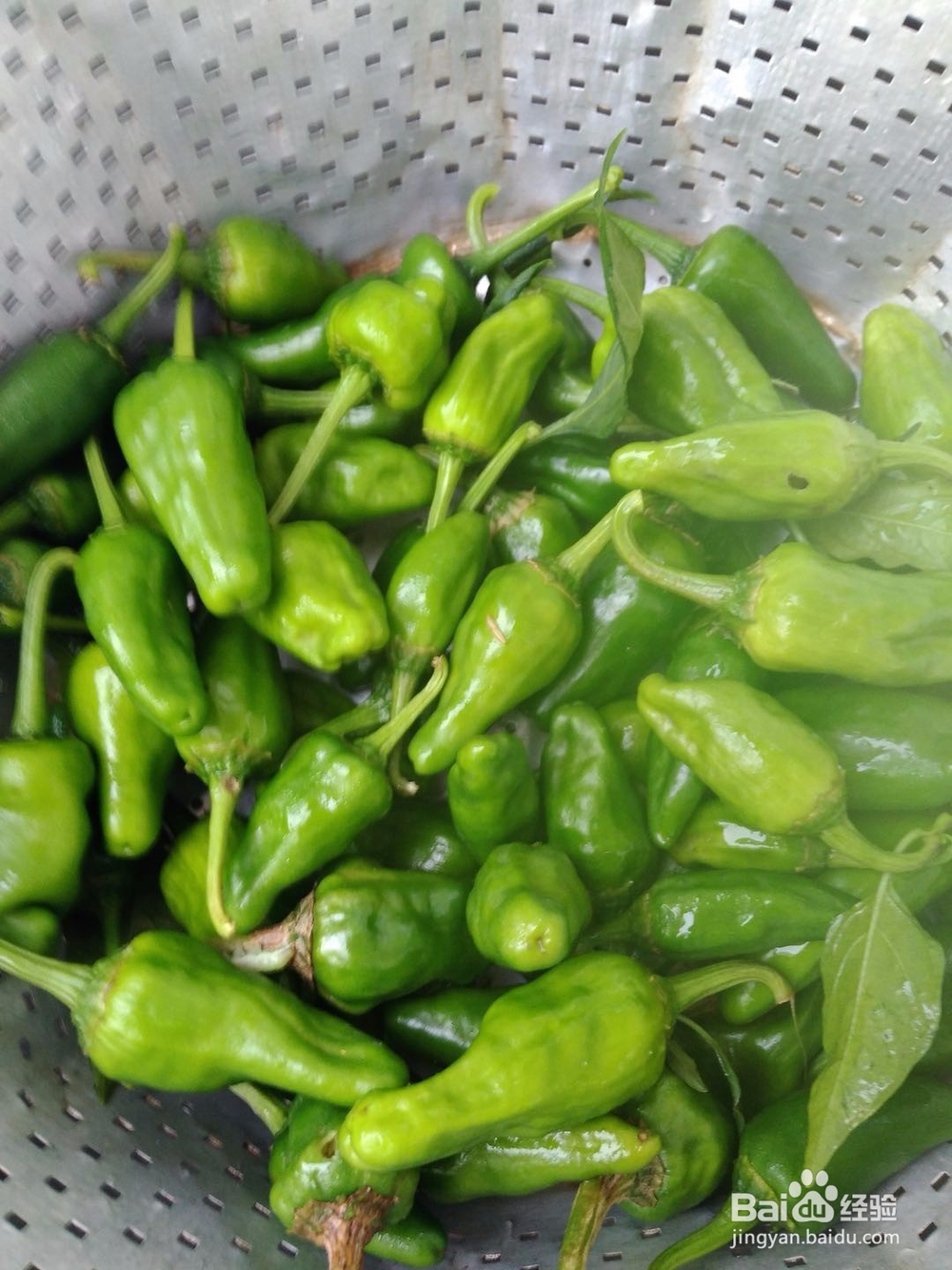 蒜香小辣椒怎么做