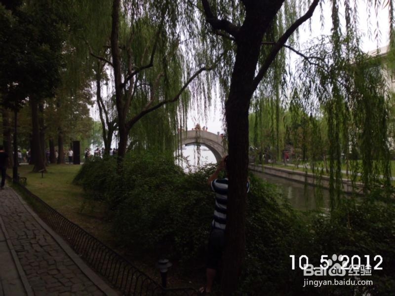 国庆孤身乌镇—西塘—上海5日游：[1]杭州西湖