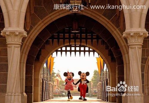 香港观光一天游不用自费项目攻略