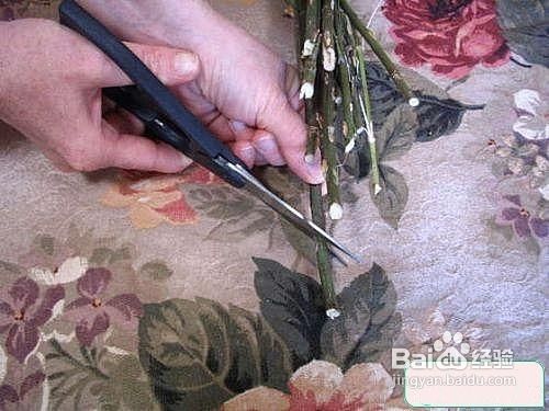 Diy 玫瑰花制作干花的方法 百度经验 Diy 玫瑰花制作干花的方法 百度经验