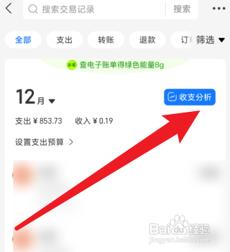 支付宝每月总支出如何查询？