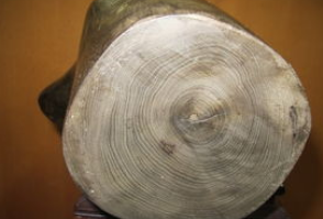 金丝楠乌木怎么看花纹?