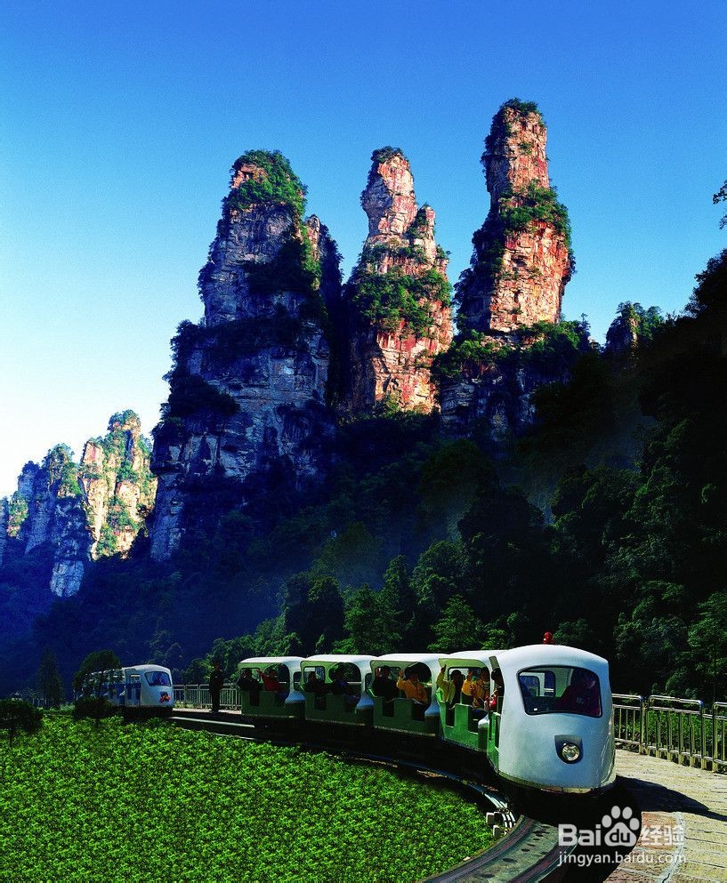 学生张家界自助游