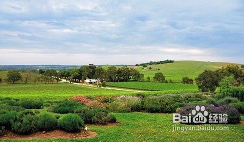 春季赏花旅游攻略