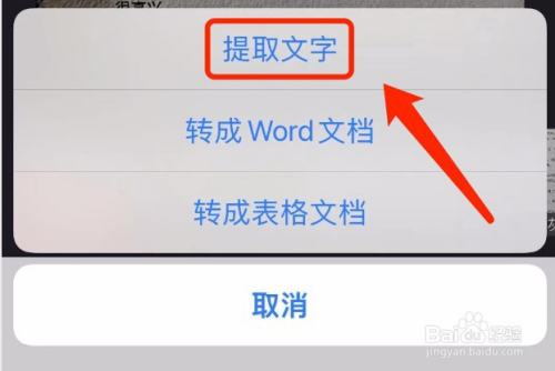 wps如何使用拍照扫描提取文字