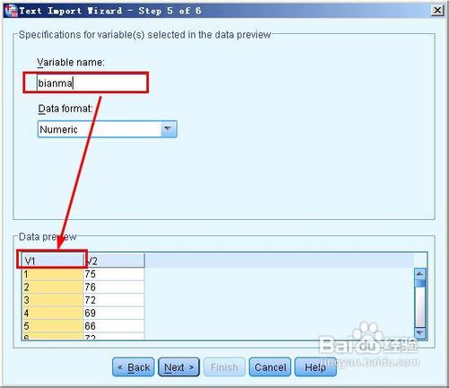 spss20.0中excel和txt格式的数据如何导入