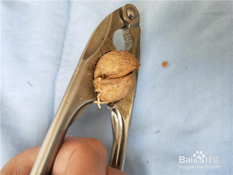 核桃钳子如何轻松快速的打开核桃
