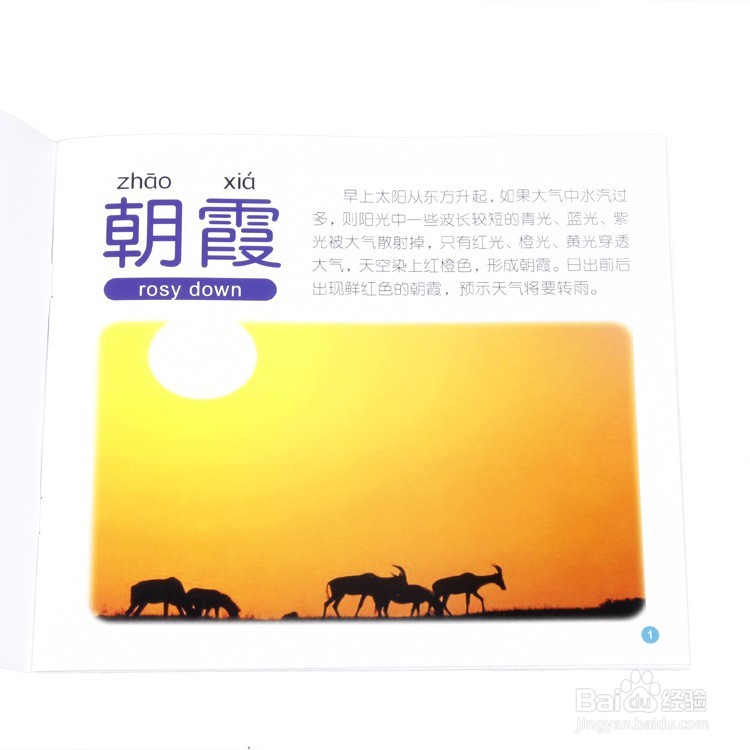 宝宝几岁认字怎么教孩子认字