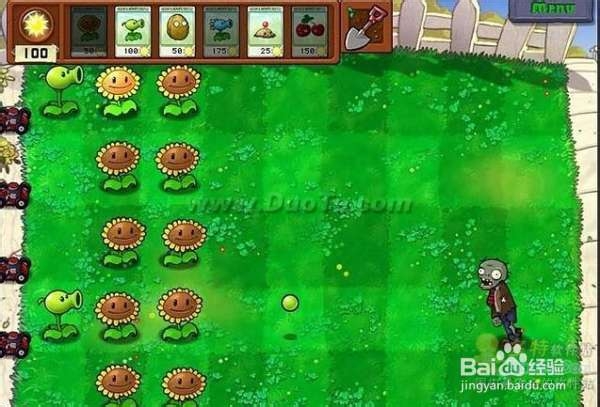 《植物大战僵尸》第一大关详细流程攻略