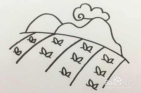 第三步:然后在农田上画出一颗颗整齐排列的庄稼小苗,再在山顶上方画
